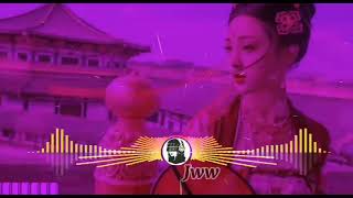 莫问归期 Mo Wen Gui Qi - 蒋雪儿  (DJ 小玉 Remix) TikTok