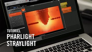 Bien débuter avec STRAYLIGHT et PHARLIGHT : deux instruments granulaires phares | Native Instruments