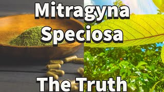 Kratom & Alcoholism's Truths and Lies