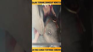 PART 9 RINGKASAN FILM GAJAH TERBANG DIANGGAP MONSTER #movies #ringkasanfilm