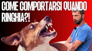 Come comportarsi quando ringhia?!