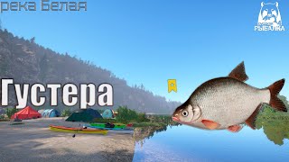 Трофейная Густера. Закрытие водоёма. Река Белая. Русская рыбалка 4 | Russian Fishing 4