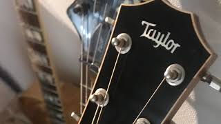 Weezer butterfly cover by Taylor guitar