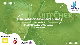 The Witcher Adventure Game (2014) - PC Gameplay