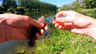 Чем соблазнить ротана на водоёме_Shizukana Hanzo-первые испытания