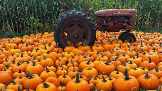 Spooky🎃season shopping at whole foods