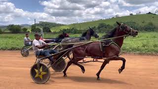 2º Páreo 1- Rato 2.23.44 2- Jatinho 2.24.85 3- Papa Légua 2.30.82