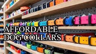 🔴 Top 10 Affordable Dog Collars You Can't Miss!