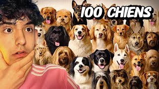 J'ai croisé 100 CHIENS dans Une VILLE Perdue ! [VLOG Crète]