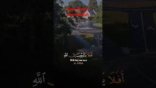 best Quran recitation of Allah #اكسبلور #youtubeshorts #quotes #flowers view videos