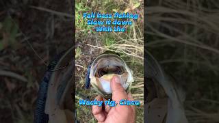 Slowitdown or speedit up for fallbass fishing #FishingdowntownDenver #FishingColorado #BassFishing ￼