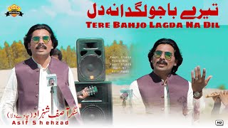 Tere Bhajo Lagda Na Dil | Asif Shehzad | Chaway Wala | Saraiki Punjabi Song 2023