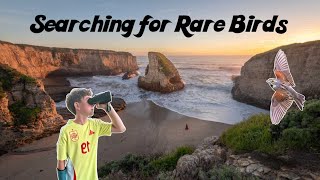 Searching for Rare Birds in Coastal Counties of California