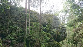 #24 Die Grenzen des Waldviertels (Komau, Lehrmühle - Kuchlreith, Neumühle)