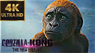 Kong Meets With Mini Kong | Godzilla x Kong: The New Empire |