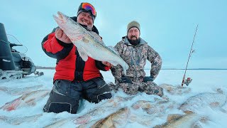 ХОТЕЛИ РАЗЛОВИТЬ 135 ВИБЫ! ЗИМНЯЯ РЫБАЛКА в КАЗАНИ на KZN Fishing, РАБОЧИЕ БАЛАНСИРЫ СЕРГЕЯ ЖМУРА!