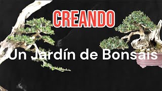 Creando un jardín de Bonsáis