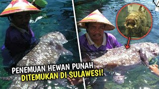 Ajaib! 5 Hewan Punah Ini Muncul Kembali Bikin Heboh Dunia