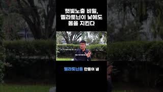 햇빛 노출의 거대한 비밀, 멜라토닌이 낮에도 몸을 지킨다