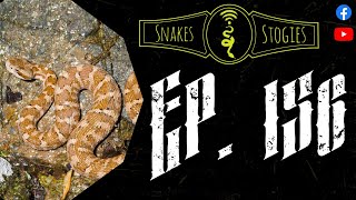 Branding | Snakes & Stogies Ep. 156