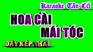 Karaoke Tân Cổ Hoa Cài Mái Tóc - Dây Kép Thấp