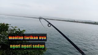 mancing di laut pagi hari,,tarikan ikan nya mantap banget