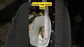 Lagi-lagi ketemu Lendir #serviceac #seputarac