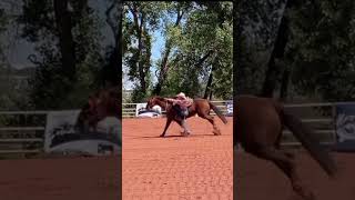 Getting there 🙌🏻🙌🏻#sheridanlostroh #lilfreckilbe #goattying #rodeo #equine