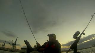 Pesca golfar con vivo ( kayak ) Alicante