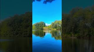 Kayaking ‘Anahulu River #shorts #hawaii #northshore #oahu #calming