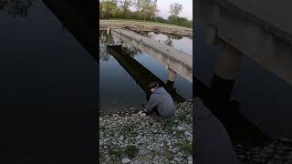 #viral #shorts #fishing