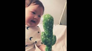 Talking cactus toy 🌵🌵#shorts    #gadgets #BeSmartUseSmart