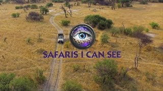 Sean Herbert, Sean Hind - 'Safaris i Can See'