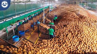 Harvesting Millions Of Tons Of COCONUTS To Produce Coconut Oil, Coir, Peat Blocks, Charcoal