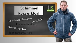 Schimmel kurz erklärt