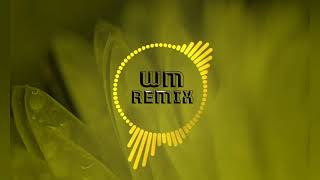 Chime & Adam Tell - Whole (Rob Gasser Remix) | [WM Remix]