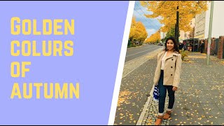 Berlin excellent golden trees | Autumn season in Europe | Wannsee and Obersee