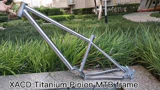 Titanium mountain bike frame Pinion