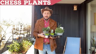 Planting Chess Plants in my Carnival Costume