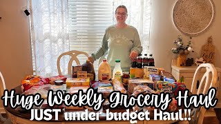 $140 Weekly Grocery haul and meal plan!!