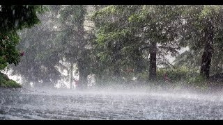 Soft Rain & Calming music | Soothing, Peaceful, Deep Sleep & Relaxing Music #101