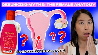 Debunking Myths: The Female Anatomy | Julie