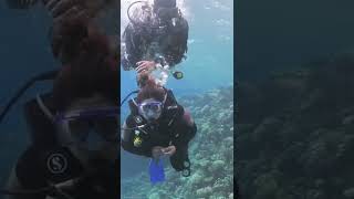 Scuba Diving Antalya