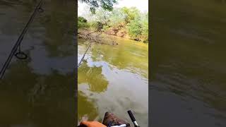 Amazing Rural Fishing Video 🐟 Best Asian Fishing Technique 🐟 #shorts