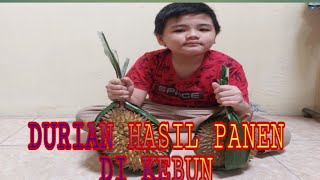 makan durian metik dari kebun