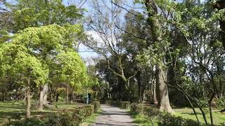 cycling in japanese garden|japan| kyoto|TRAVEL IN JAPAN |