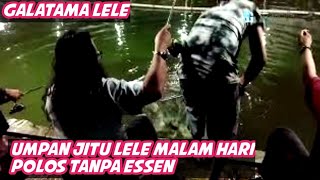 UMPAN GALATAMA LELE || tanpa essen malam hari