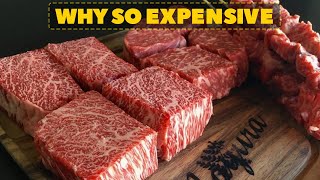 Why Wagyu Beef Is So Expensive | Mystery Box