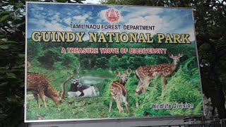 Guindy national park chennai #vlog