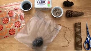 How to make a tree cone bird feeder